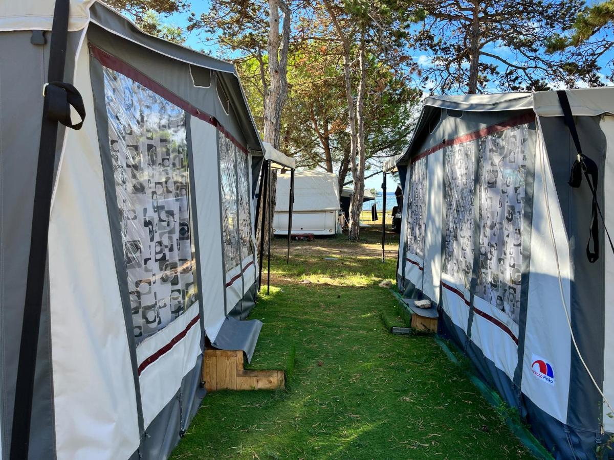 Dalmacia Mobile Homes And Caravans At The Beach Privlaka  Bagian luar foto